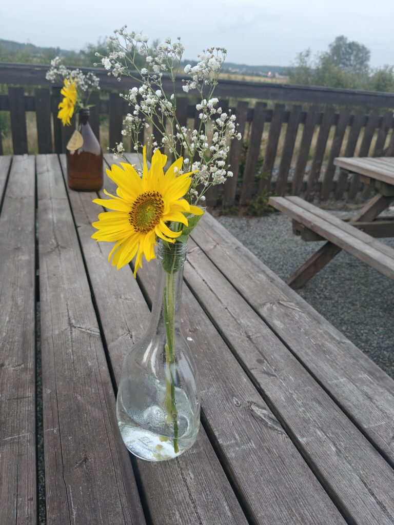 IMG20250906202406