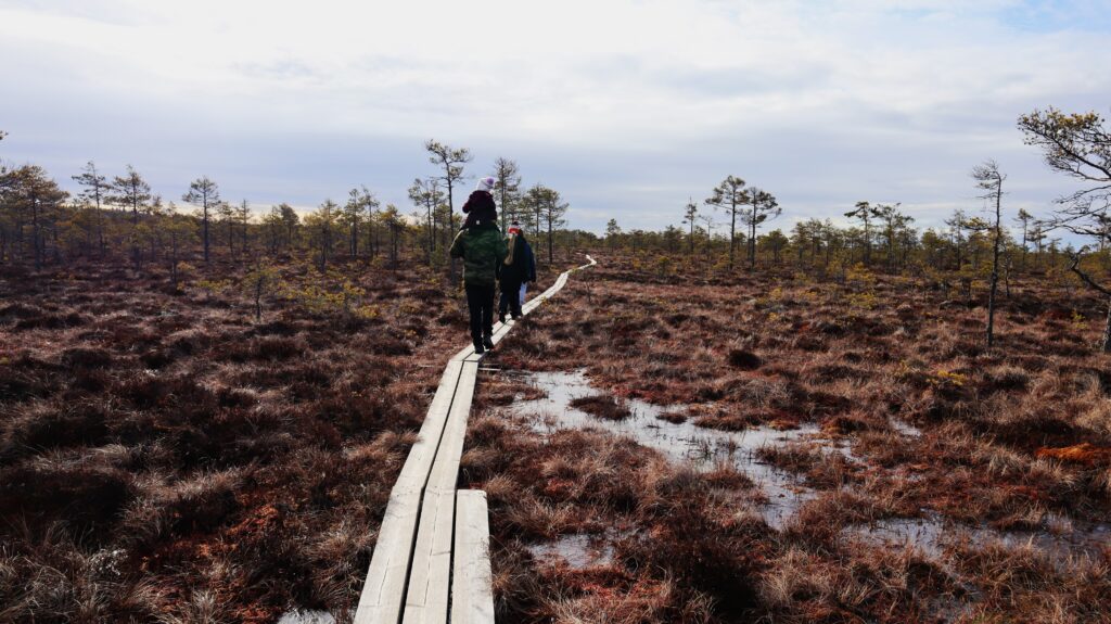 Perhe-kansallispuistossa