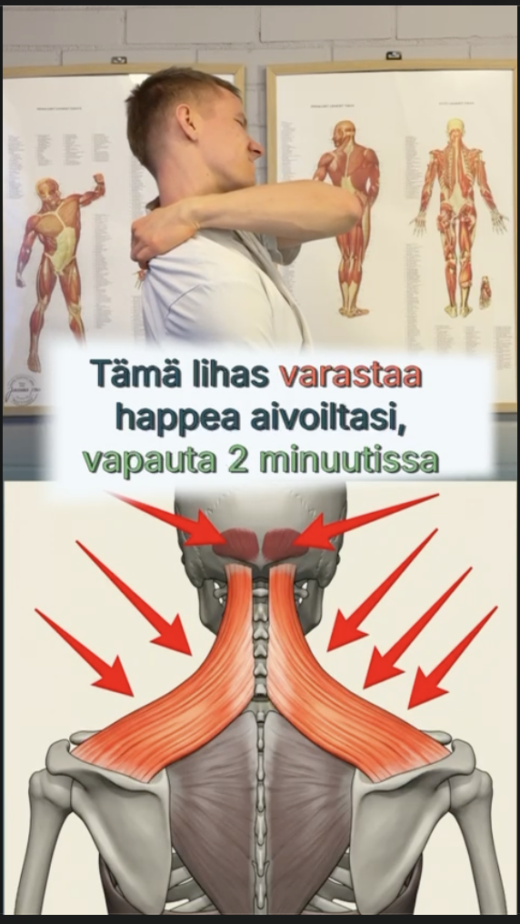 Nayttokuva-2026-02-18-kello-11.57.24