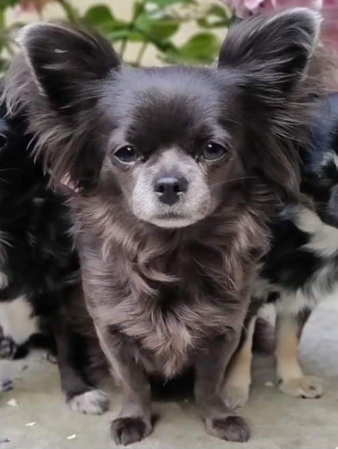 FB_IMG_1722158102850