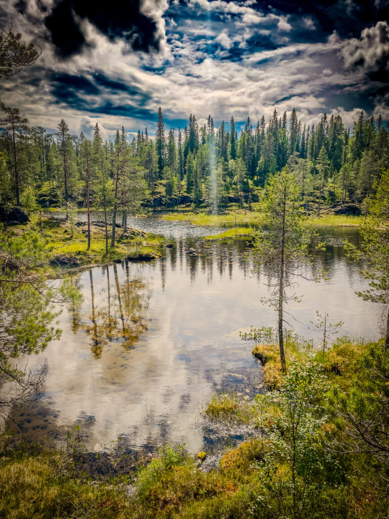 IMG_7747