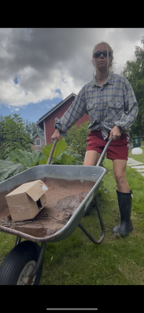 IMG_8808