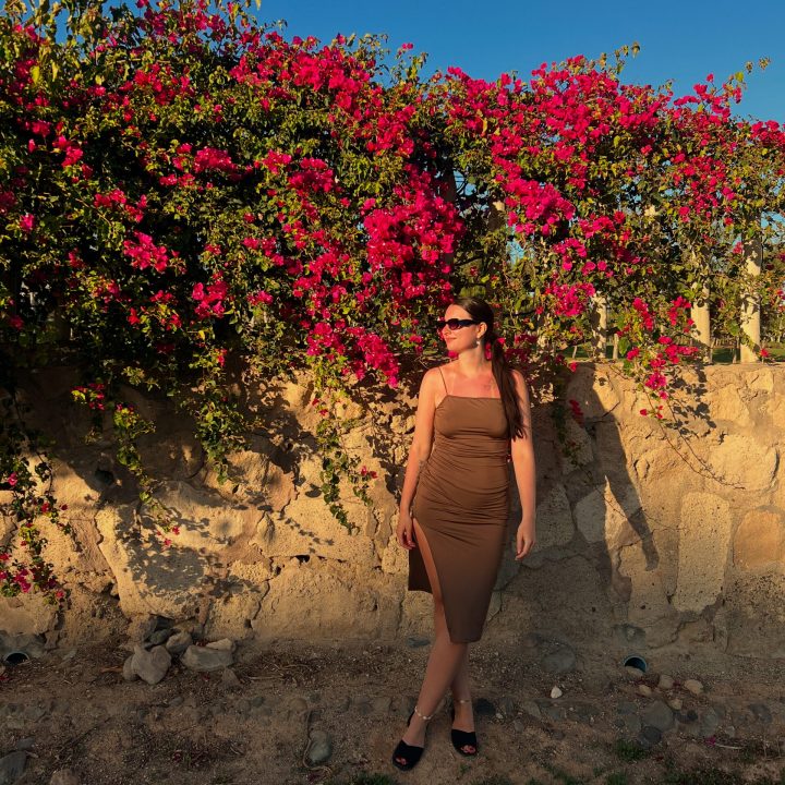 4E9CECB4-0564-4AA2-B5D2-7A98A2D288B4