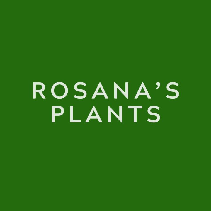 ROSANAS-PLANTS
