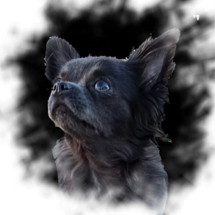 Screenshot_20250823_131634_Facebook